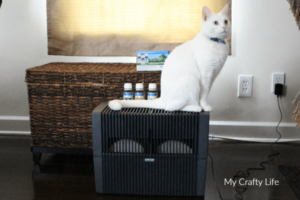 Frosty the cat loves the Venta Airwasher