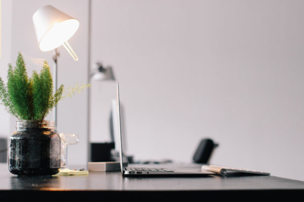 Plant on desk inside office