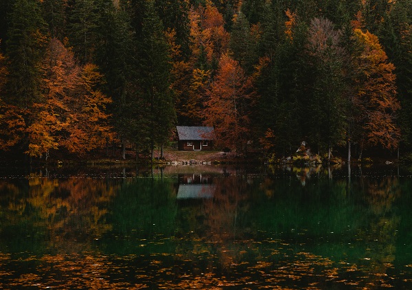 cabin on lake during fall allergies season