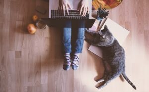 Woman sits on wood floor with cat while enjoying healthy indoor air quality despite wildfires