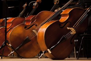 Musical Instruments