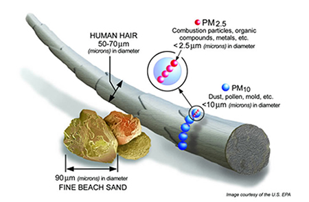 particle-matter