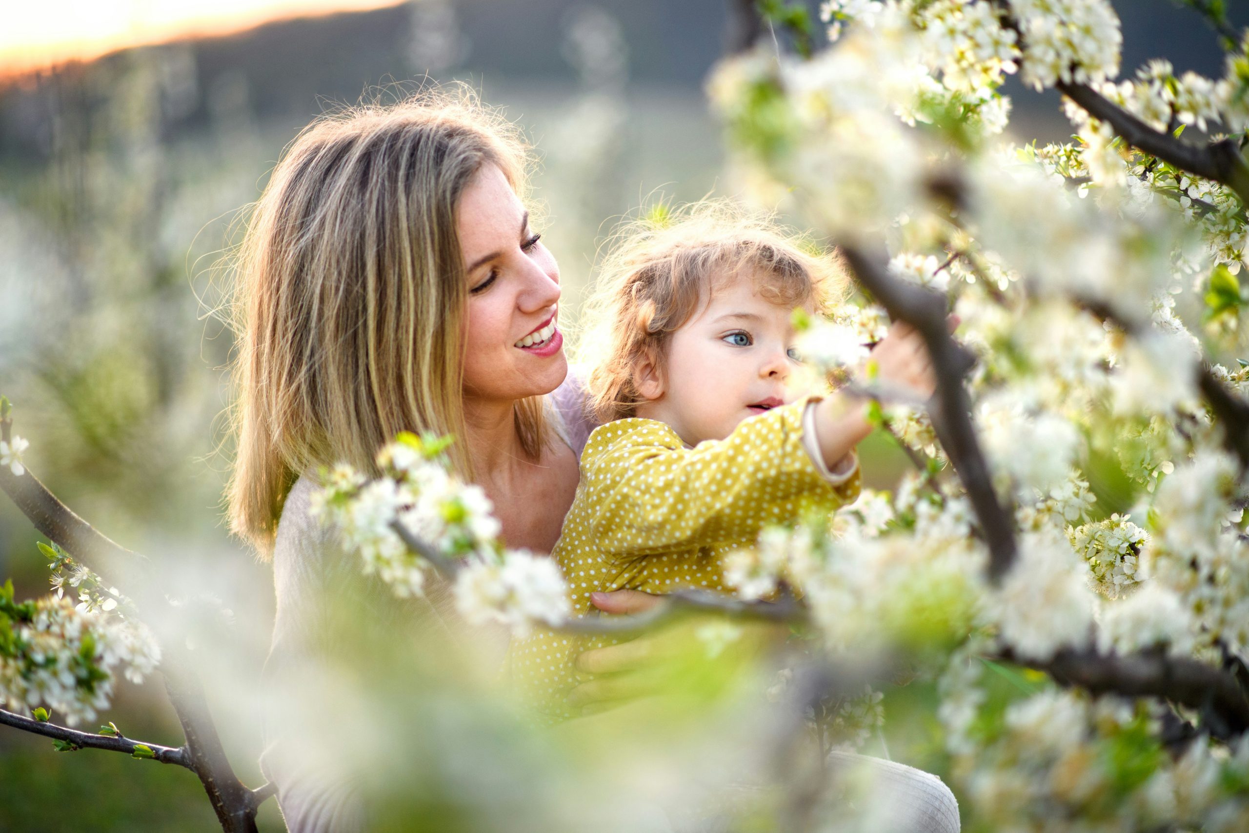 Pollen Allergies: Prevention Tips to enjoy Spring