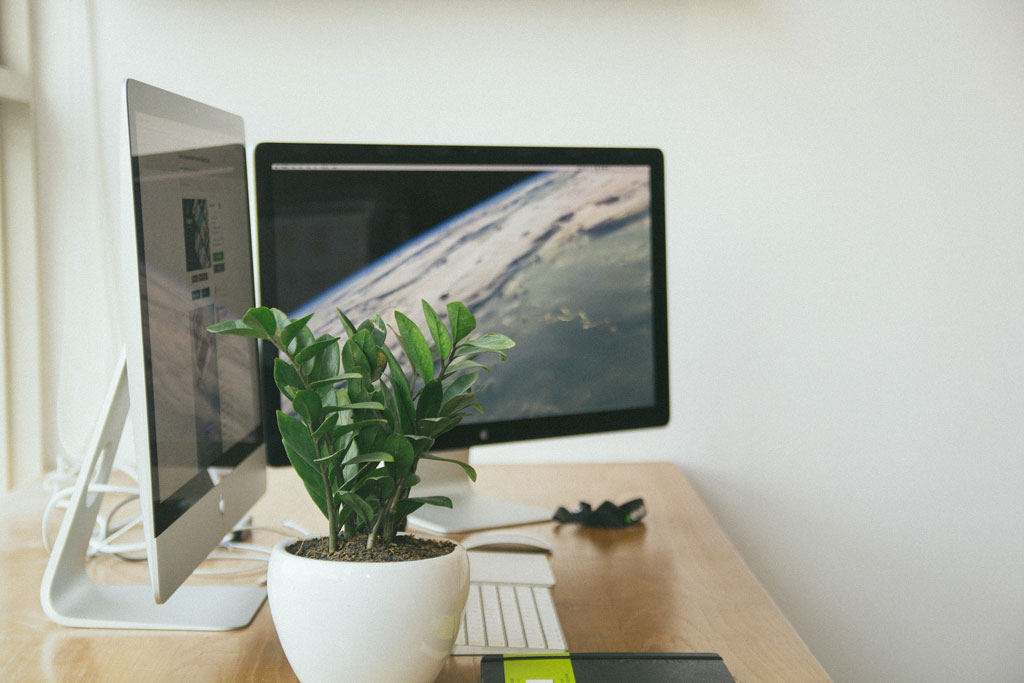 Twee grote schermen op een bureau met een plant.