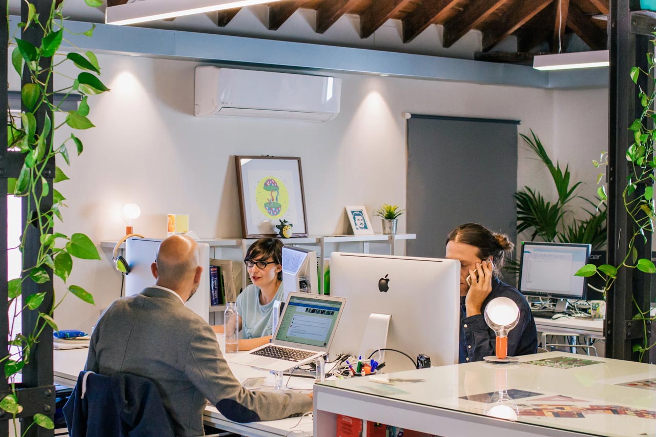 Tres empleados trabajan en una acogedora oficina con muchas plantas.